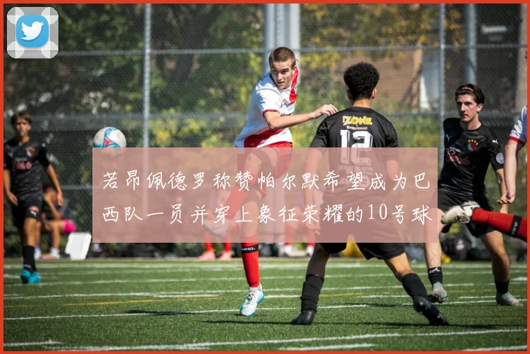 若昂佩德罗称赞帕尔默希望成为巴西队一员并穿上象征荣耀的10号球衣
